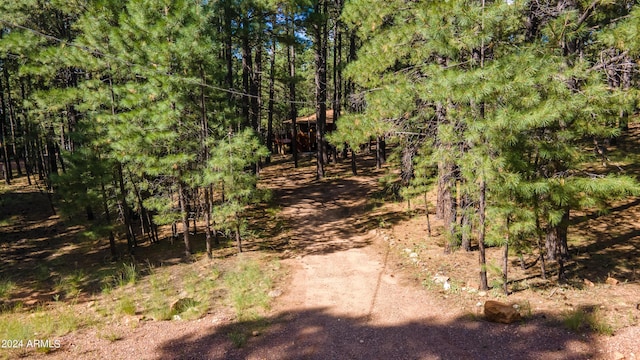 1423 Geode Dr, Forest Lakes, AZ 85931 - view of street with a forest view