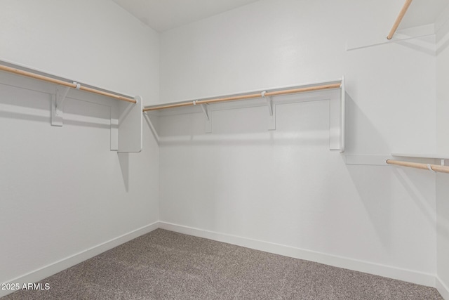 spacious closet featuring carpet flooring