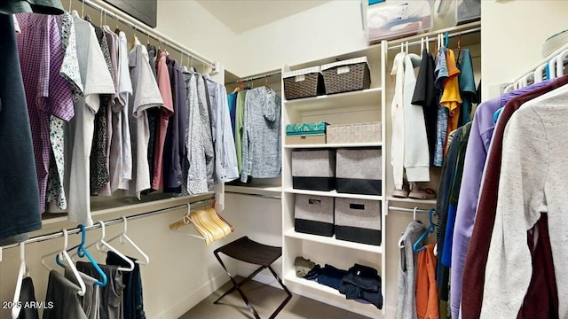 view of spacious closet