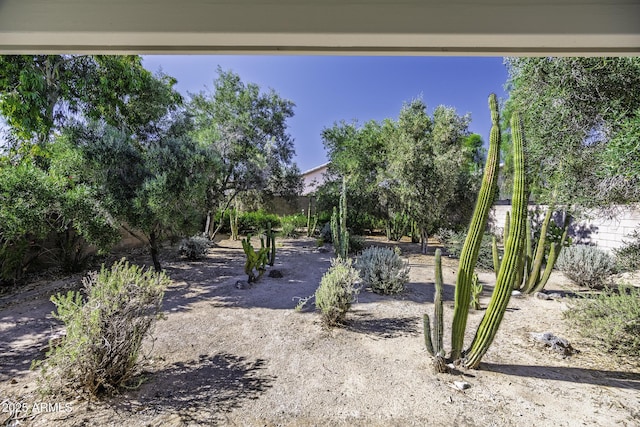 4530 E Desert Wind Dr, Phoenix, AZ 85044 - view of yard