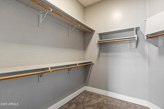 2761 W Via Calabria, Phoenix, AZ 85086 - walk in closet with carpet