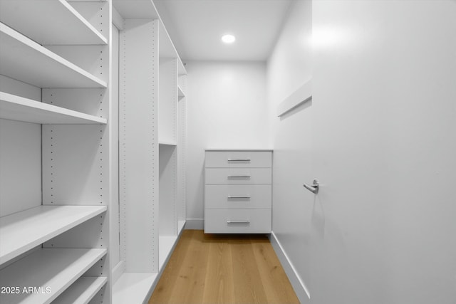 spacious closet with light wood-type flooring