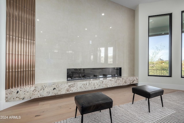 living room featuring wood-type flooring