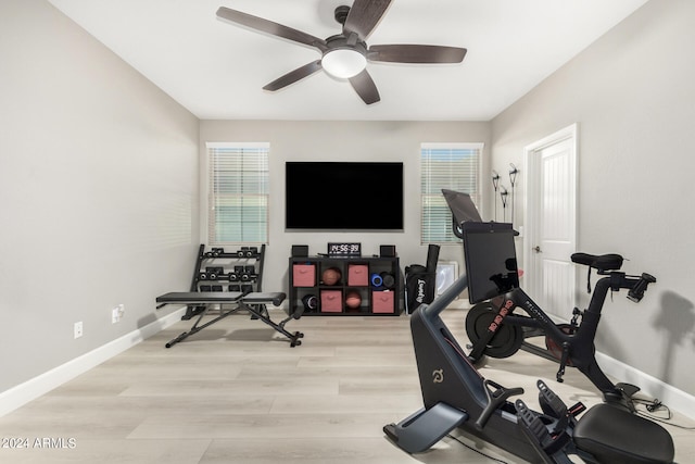 exercise area featuring ceiling fan and light wood-type flooring