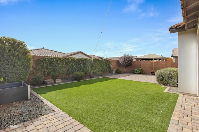 view of yard featuring a patio area