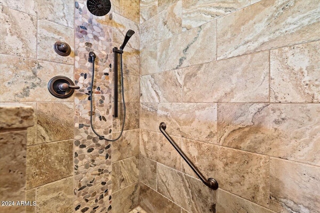 856 E Harmony Way, San Tan Valley, AZ 85140 - bathroom view of a tile shower