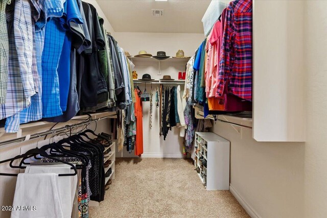 856 E Harmony Way, San Tan Valley, AZ 85140 - spacious closet with carpet flooring