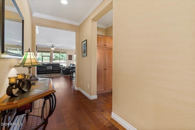 856 E Harmony Way, San Tan Valley, AZ 85140 - hall with baseboards, dark wood-style flooring, ornamental molding, and recessed lighting