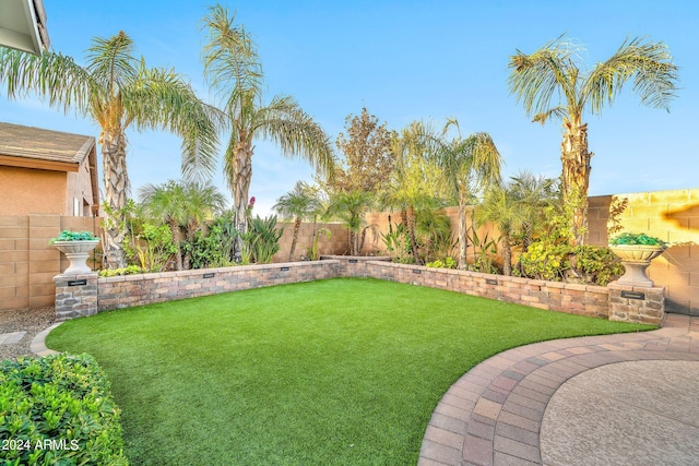 view of yard with a fenced backyard