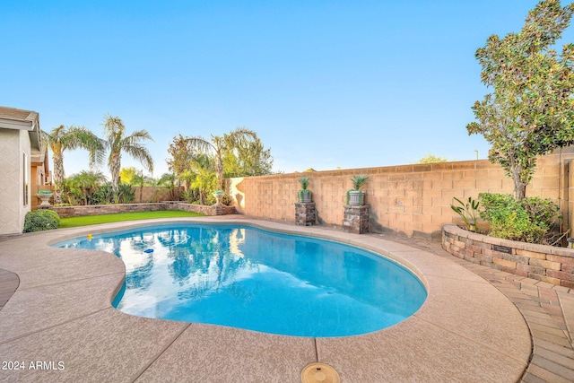 view of pool with a patio