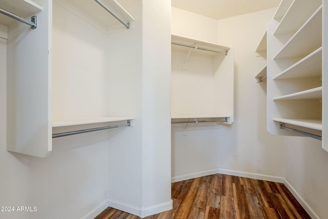 walk in closet featuring dark wood-type flooring