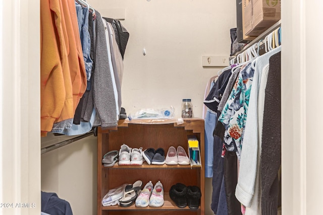 view of spacious closet