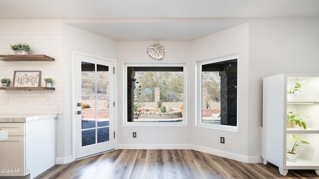 entryway with wood-type flooring