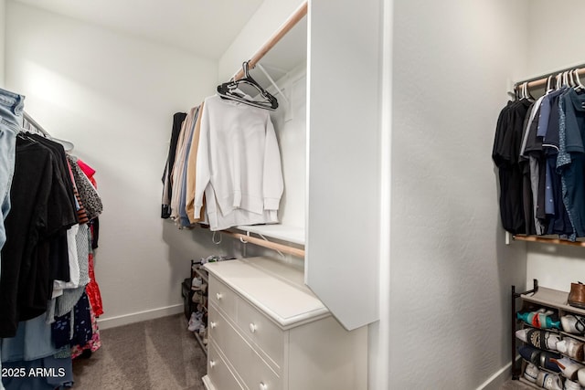 5460 S Dillon Cir, Mesa, AZ 85212 - spacious closet with carpet floors
