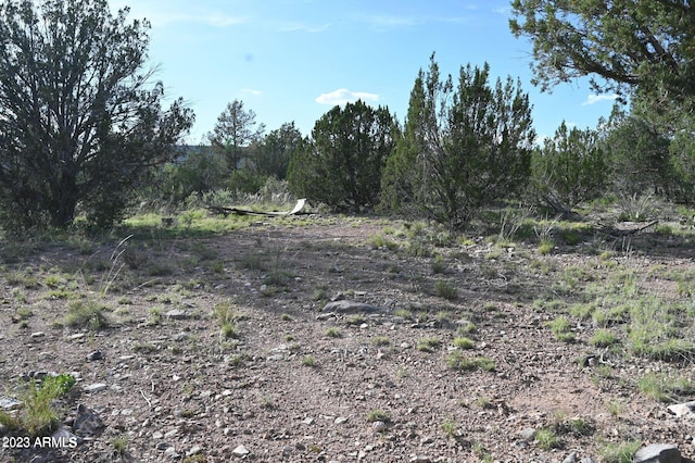 52084 N Calle Ciervo Unit 2064, Seligman AZ, 86337 land for sale