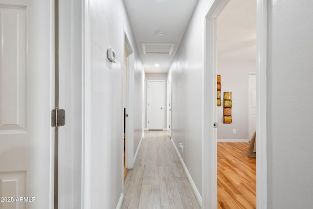 hall with attic access, baseboards, and light wood-type flooring