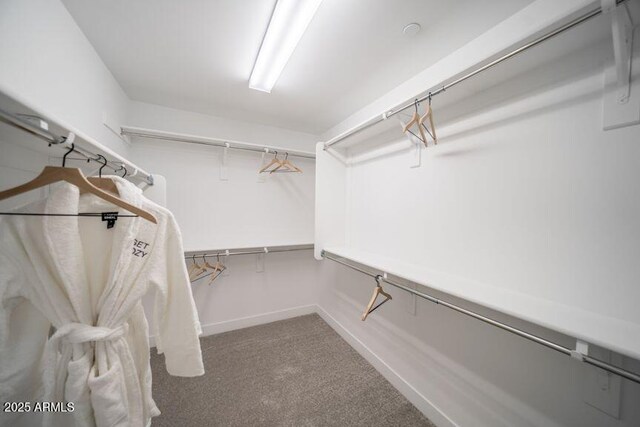 12233 W Caraveo Pl, Peoria, AZ 85383 - spacious closet with carpet flooring
