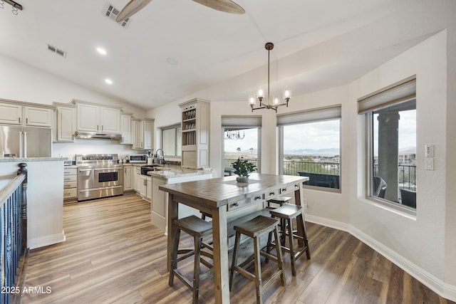 15857 E Ponderosa Dr, Fountain Hills, AZ 85268 - kitchen with appliances with stainless steel finishes, under cabinet range hood, open shelves, lofted ceiling, and a chandelier