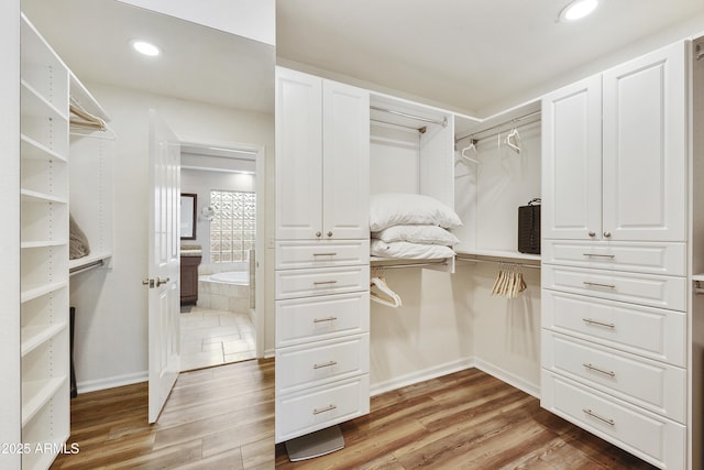 15857 E Ponderosa Dr, Fountain Hills, AZ 85268 - spacious closet with light wood-type flooring