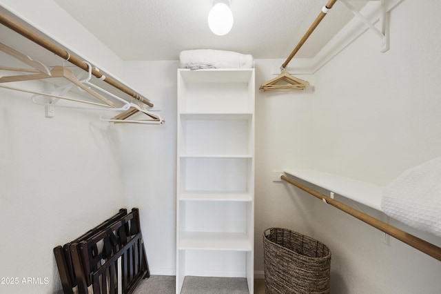 15857 E Ponderosa Dr, Fountain Hills, AZ 85268 - spacious closet with carpet