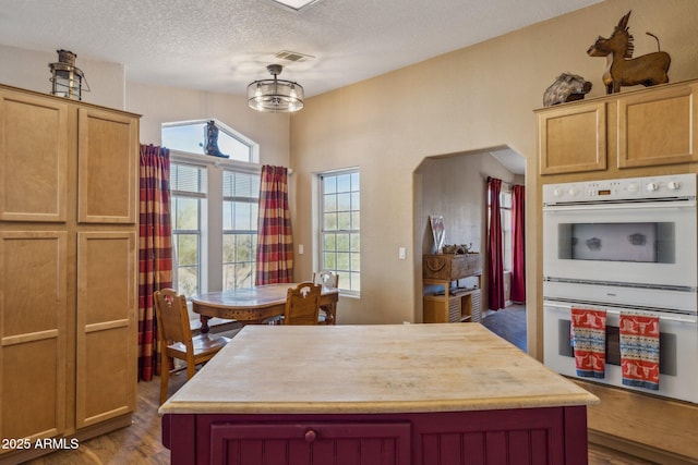 kitchen featuring double oven, light countertops, and a wealth of natural light