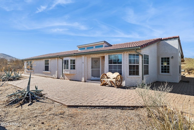 back of house with a tile roof, a patio area, and stucco siding