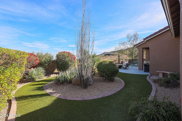 view of yard with a patio area