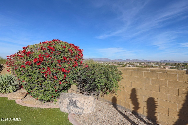 view of yard featuring a mountain view