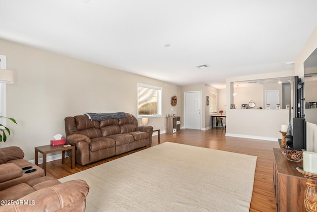 living room with wood-type flooring