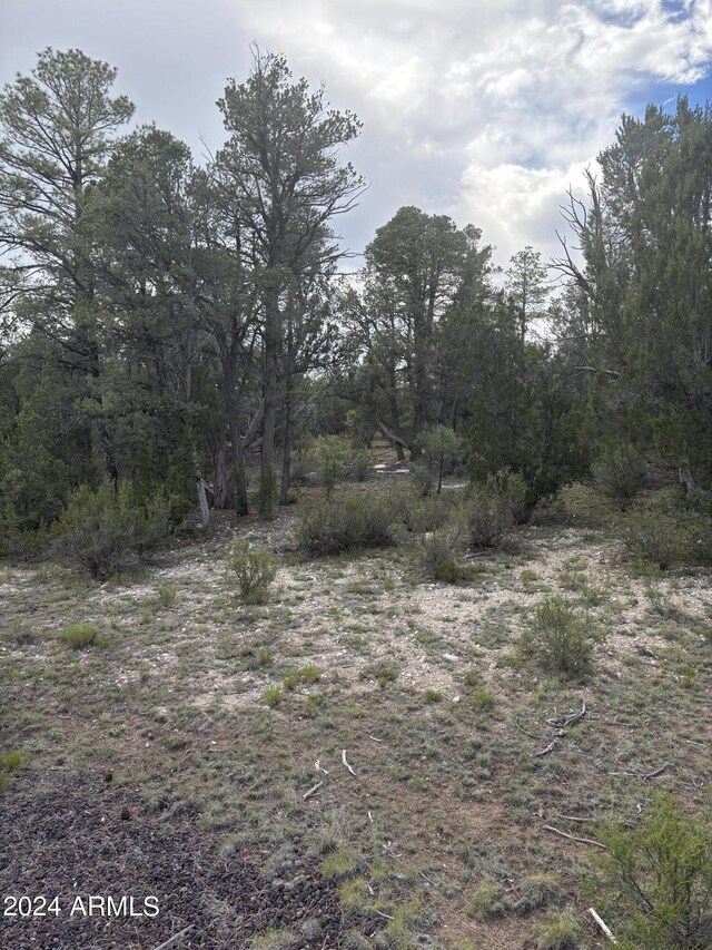 Listing photo 3 for 1988 Artists Draw Rd Unit 7, Heber AZ 85928