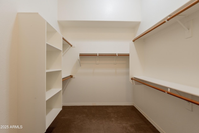 1555 E Monterey St, Chandler, AZ 85225 - spacious closet featuring carpet flooring