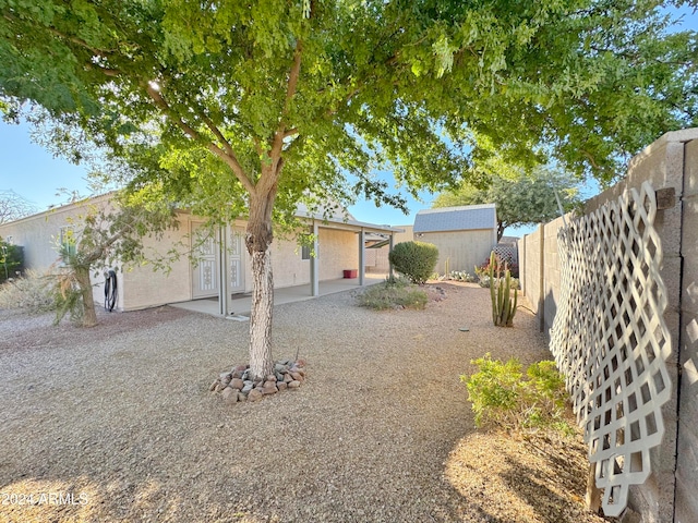 view of yard featuring a shed and a patio area