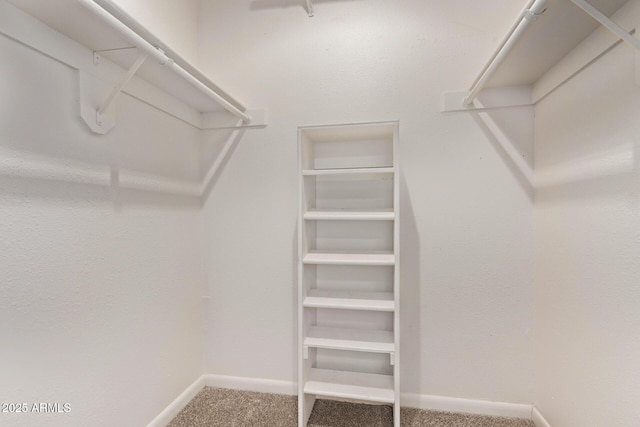 747 S Extension Rd Unit 113, Mesa, AZ 85210 - spacious closet with carpet floors