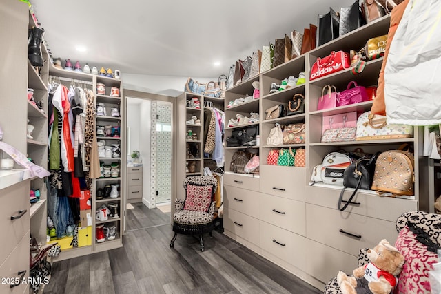 spacious closet with dark wood-type flooring