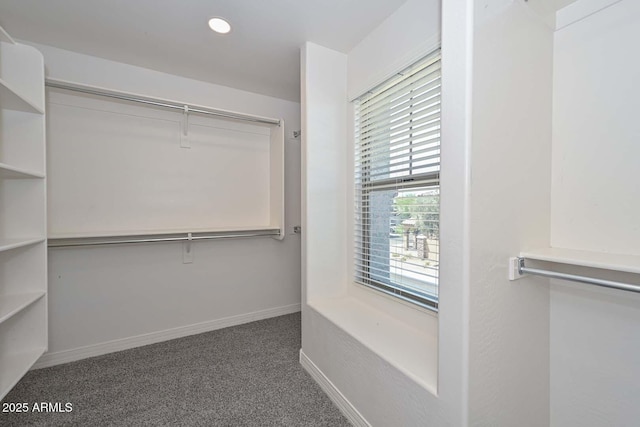 6611 S San Jacinto St, Gilbert, AZ 85298 - walk in closet with carpet
