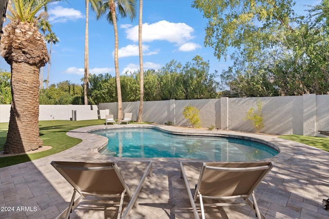 view of pool with a patio area