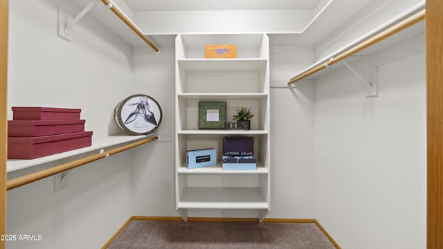 spacious closet featuring carpet flooring