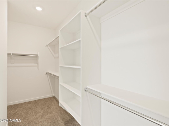 spacious closet featuring carpet flooring