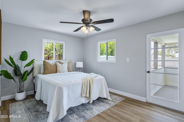 1359 E Nielson Ave, Mesa, AZ 85204 - bedroom with multiple windows, wood finished floors, and a ceiling fan