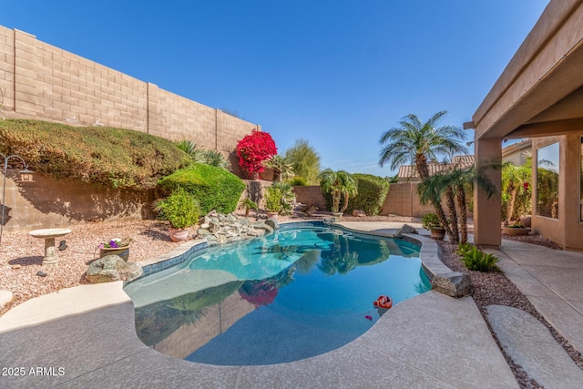 view of swimming pool with a patio area