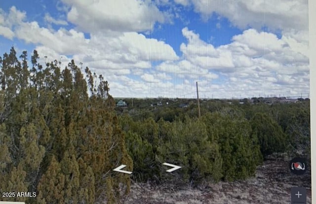 8546 Silver Creek Dr Unit 44, Show Low, AZ 85901