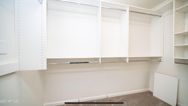 walk in closet with carpet