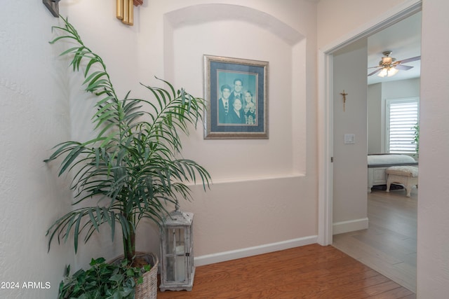 hallway with hardwood / wood-style flooring