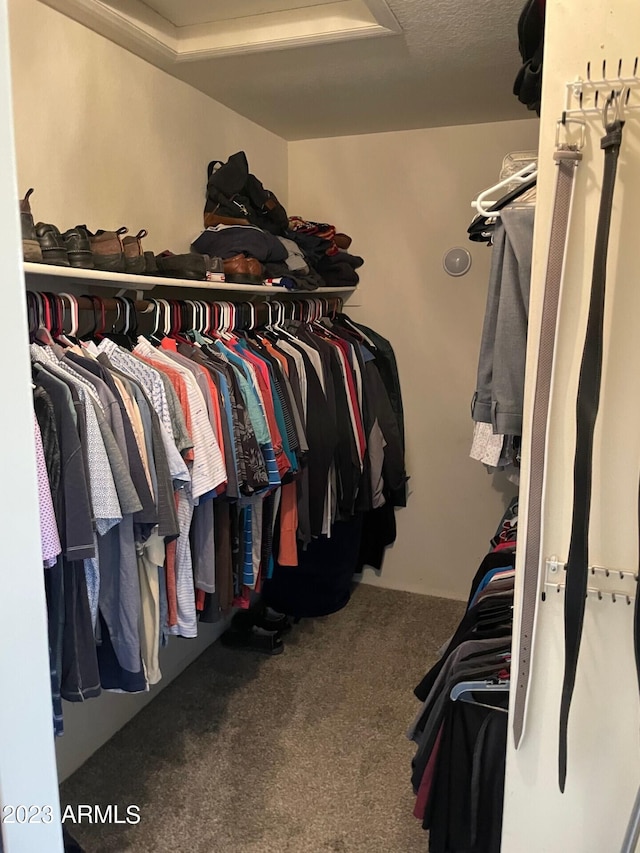2723 E Rockledge Rd, Phoenix, AZ 85048 - walk in closet featuring carpet floors