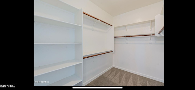spacious closet with carpet floors