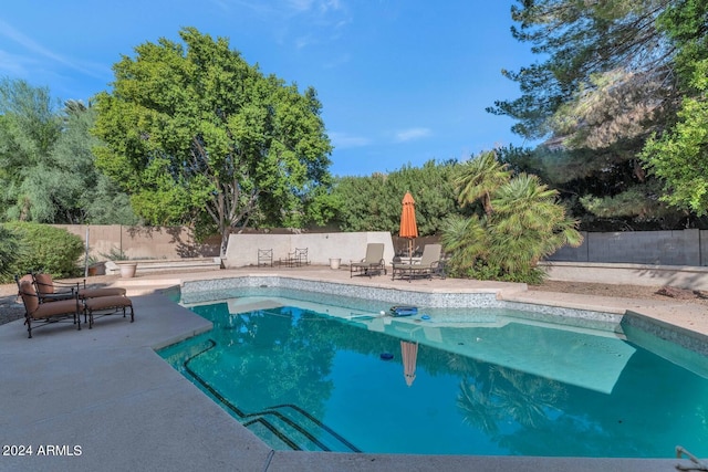 view of swimming pool featuring a patio