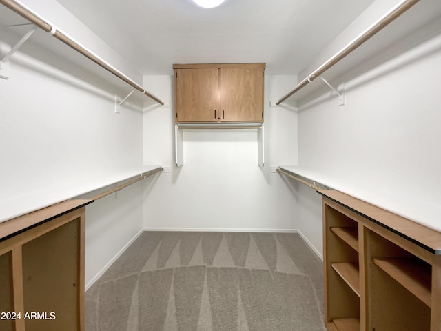 walk in closet featuring carpet floors