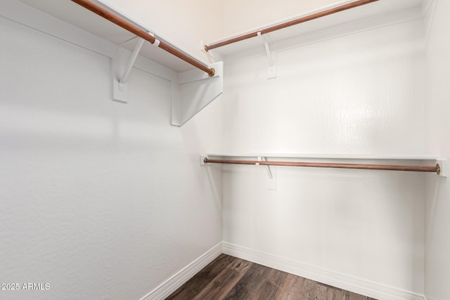 21972 N 97th Gln, Peoria, AZ 85383 - walk in closet featuring dark wood-type flooring