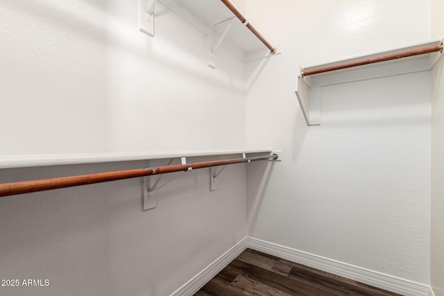 21972 N 97th Gln, Peoria, AZ 85383 - spacious closet with dark wood-style floors