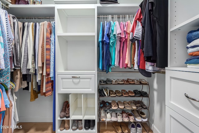 view of walk in closet